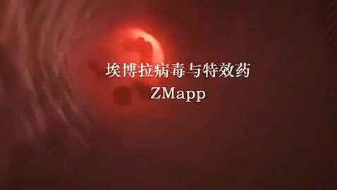 【科普知识】埃博拉病毒与特效药ZMapp(中文字幕)哔哩哔哩bilibili