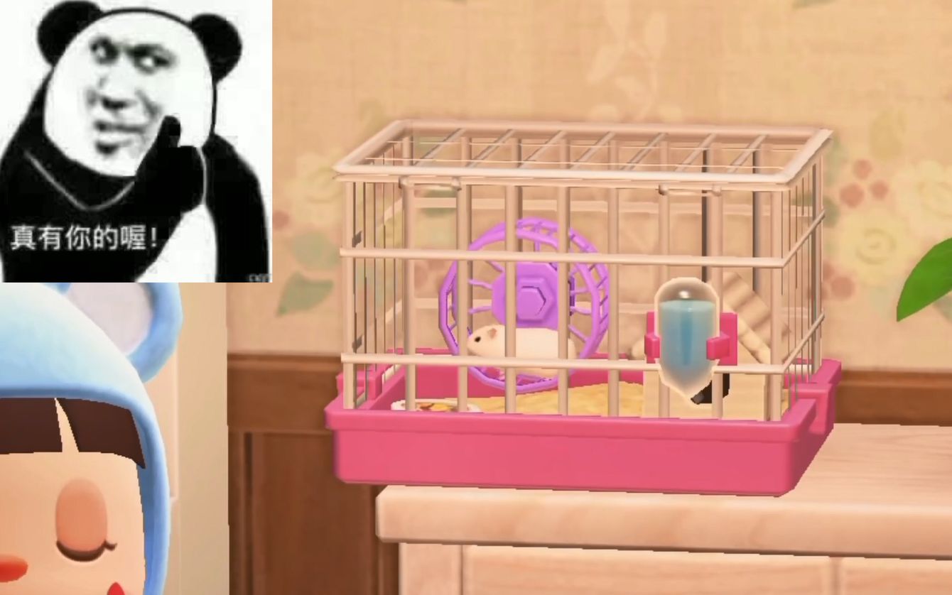 动森仓鼠雪美的小白鼠动物森友会