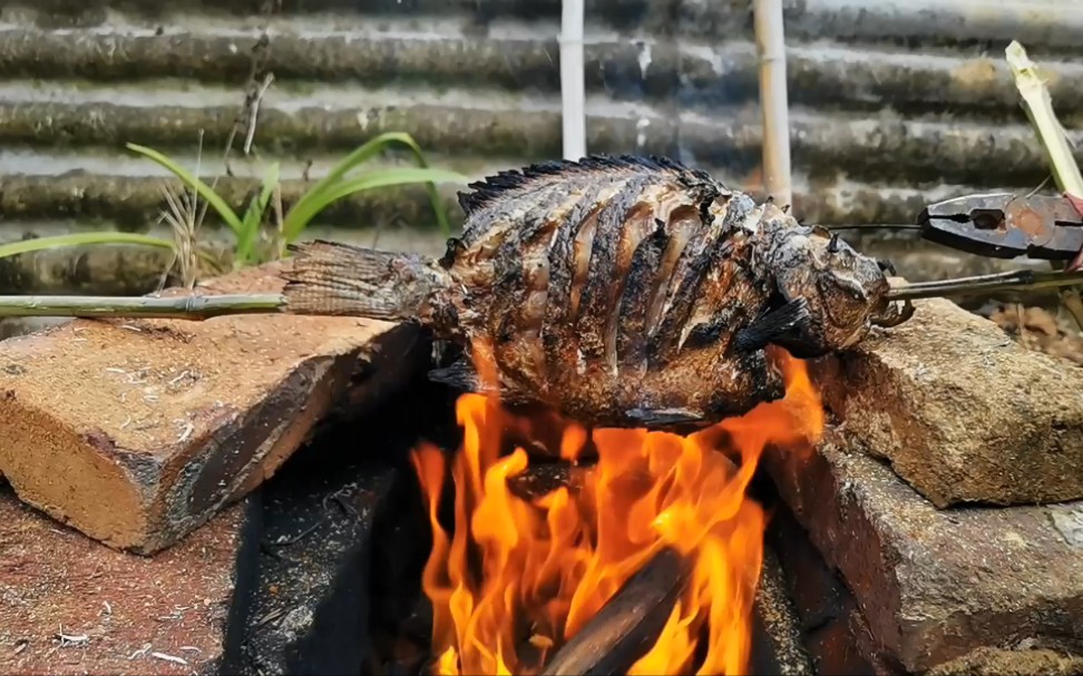 活动  小伙模仿古装剧中大侠们的烤鱼,翻车现场