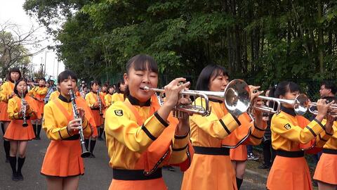 京都橘高校吹奏楽部伏见城祭19年 I M In The Mood For Dancing 不如跳舞kyoto Tachibana Shs Band 哔哩哔哩 つロ干杯 Bilibili