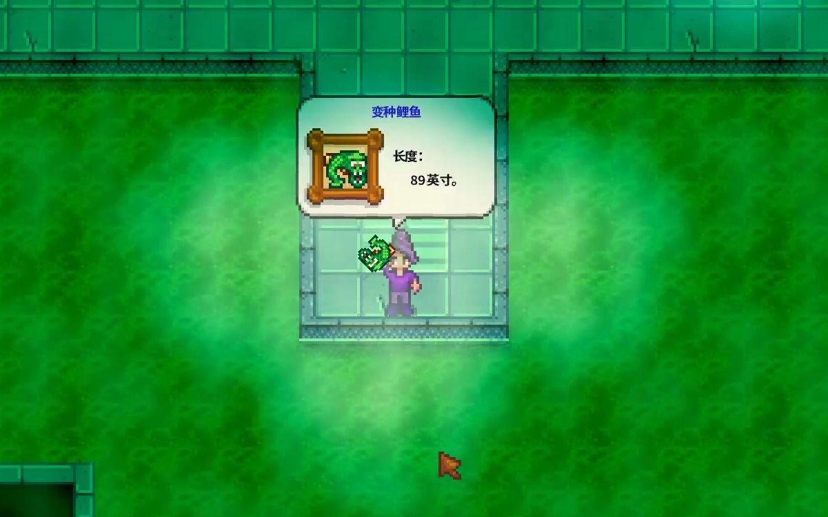 星露谷物语第二季42章鱼太难只能去钓一条下水道鱼王了