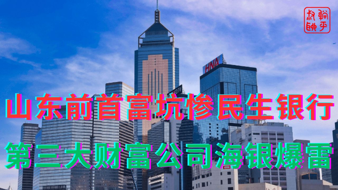 山东前首富坑惨民生银行||第三大财富公司海银爆雷哔哩哔哩bilibili