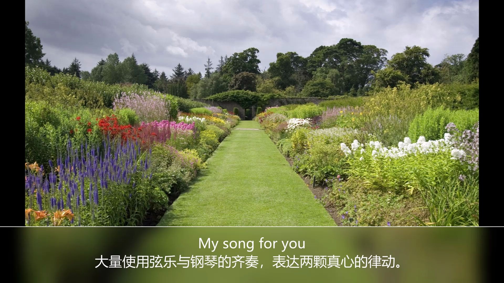 [图]纯音乐 My Song for You 我的歌为你而唱