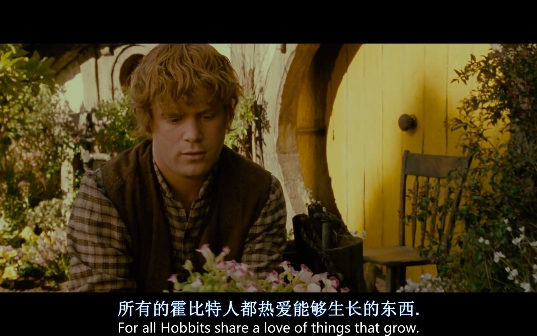 《指环王》里的诗歌田园——夏尔(the shire) 热爱能够生长的东西