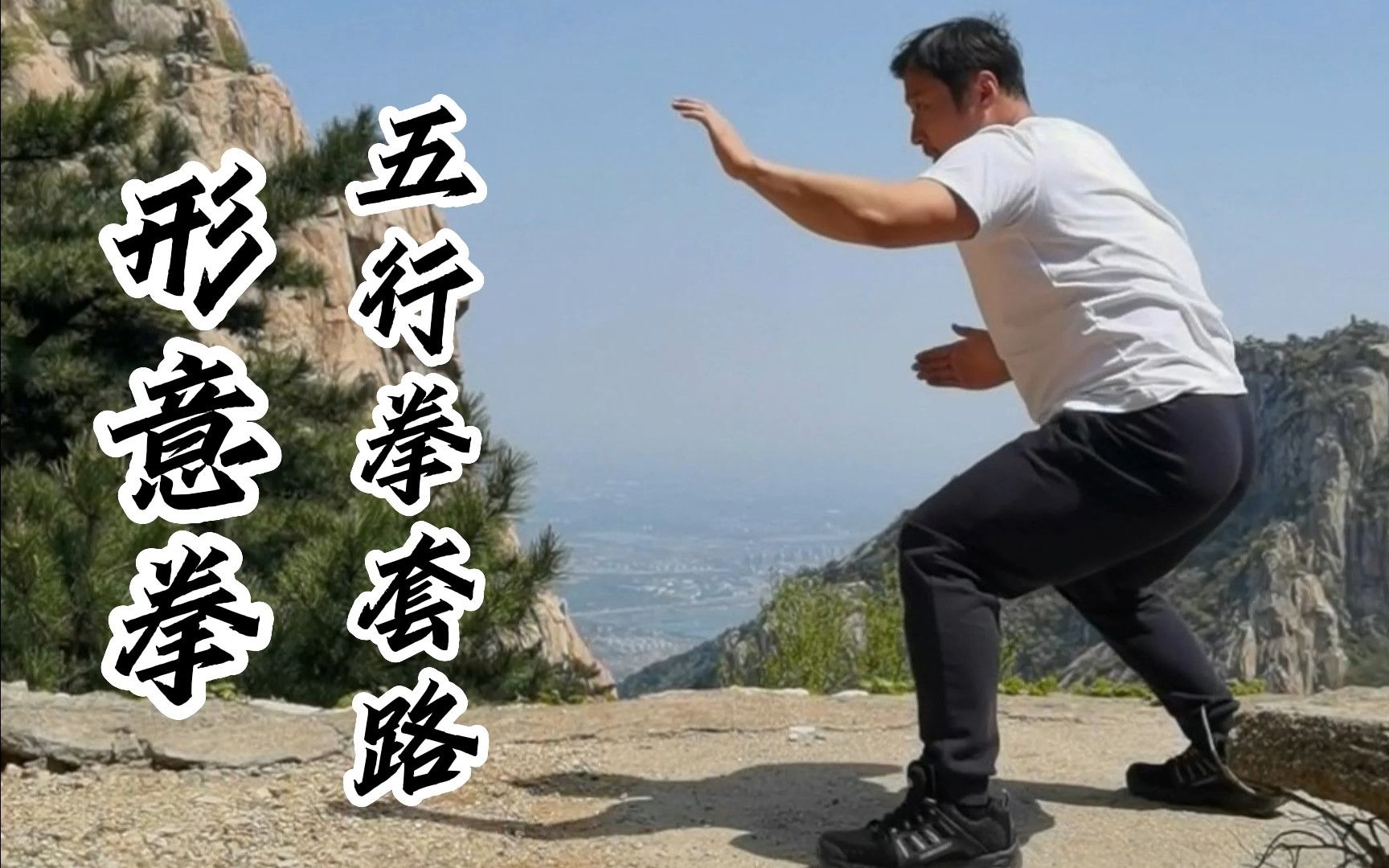 庞超形意拳五行拳套路哔哩哔哩bilibili