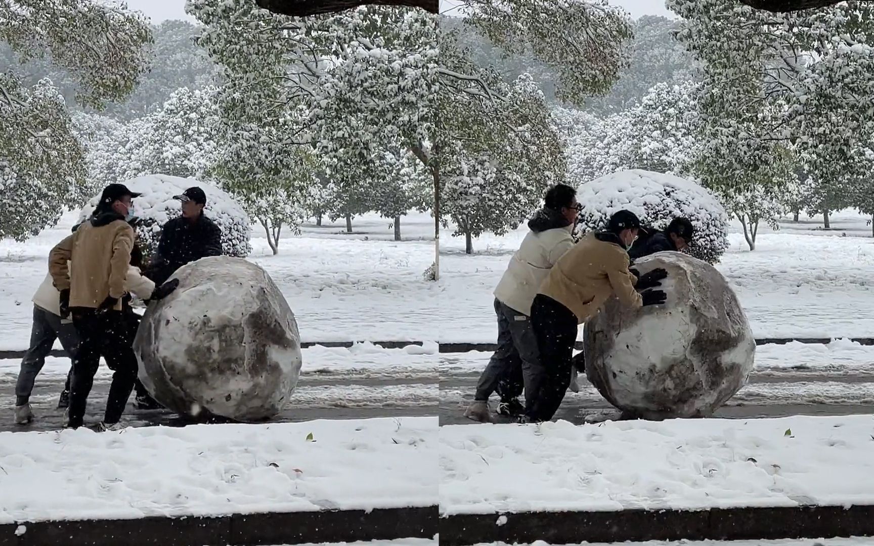 [图]南方学生雪中滚出大雪球，累到四个人都推不动：解锁北方人的快乐