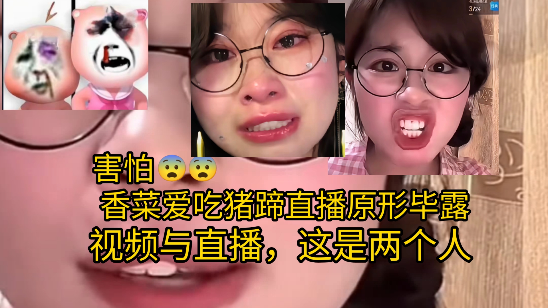 [图]香菜爱吃猪蹄看着不像是会被欺负的，这就是版本t0