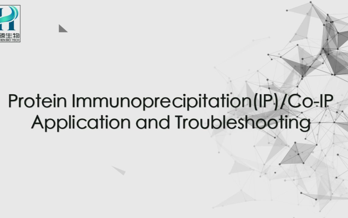 蛋白免疫沉淀(IP)/COIP的应用及技术难点解答哔哩哔哩bilibili