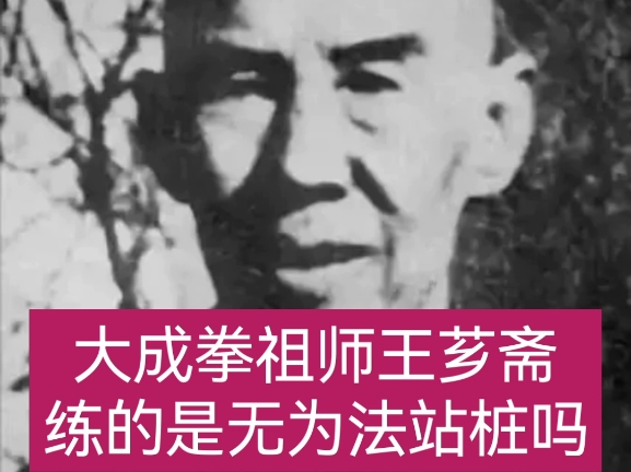 大成拳祖师王芗斋练的是无为法站桩吗?