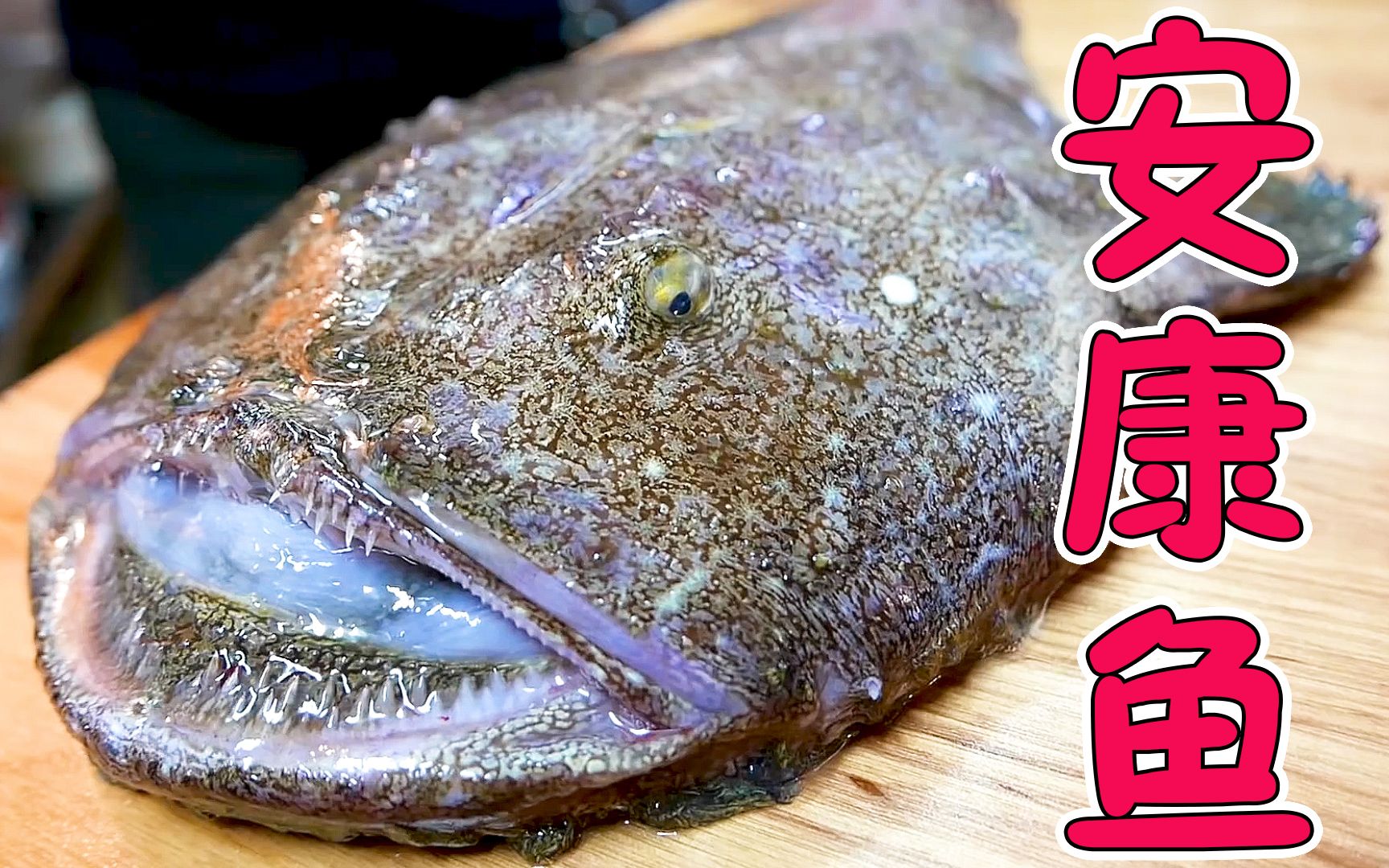 shijia世界美食之日本站试吃日式安康鱼蛤蟆鱼鮟鱇鱼海中鹅肝