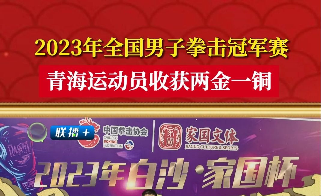 2023年全國男子拳擊冠軍賽 青海運動員收穫兩金一銅