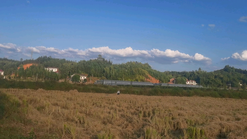 地址:衡东三樟镇礼厚村