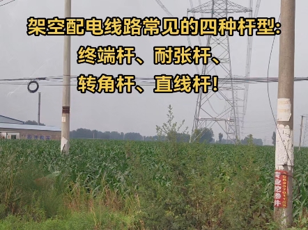 架空配电线路常见的四种杆型:终端杆、耐张杆、转角杆、直线杆!#电力 #电力施工 #电线杆哔哩哔哩bilibili