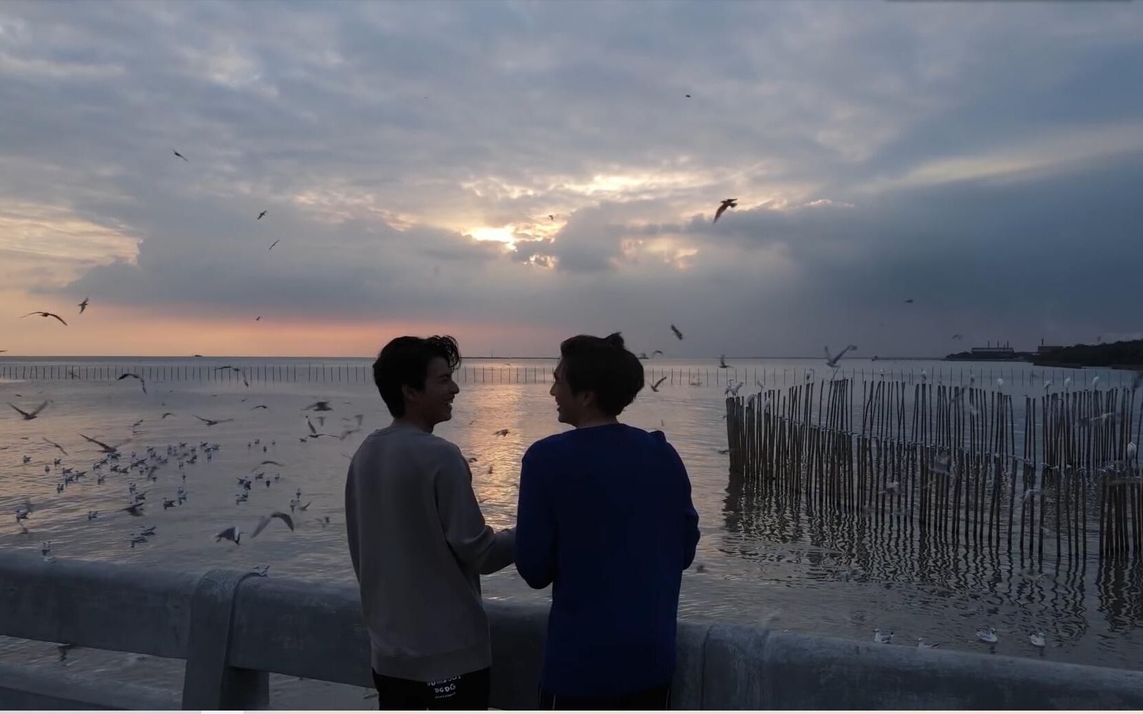 mewgulf----湿地宣传教育片