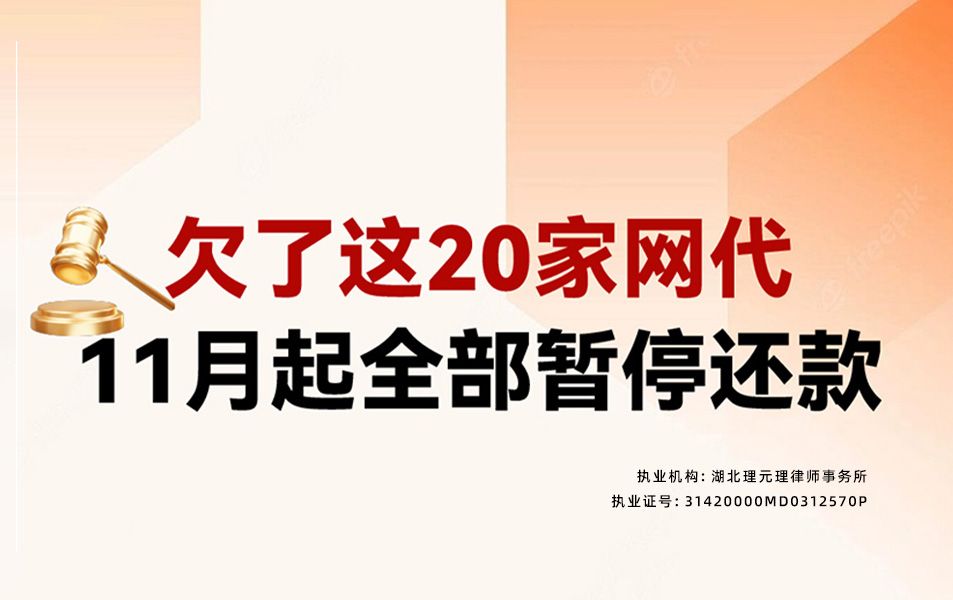 债务暂停到2029年,无论你欠的是网贷还是信用卡,有没有逾期哔哩哔哩bilibili