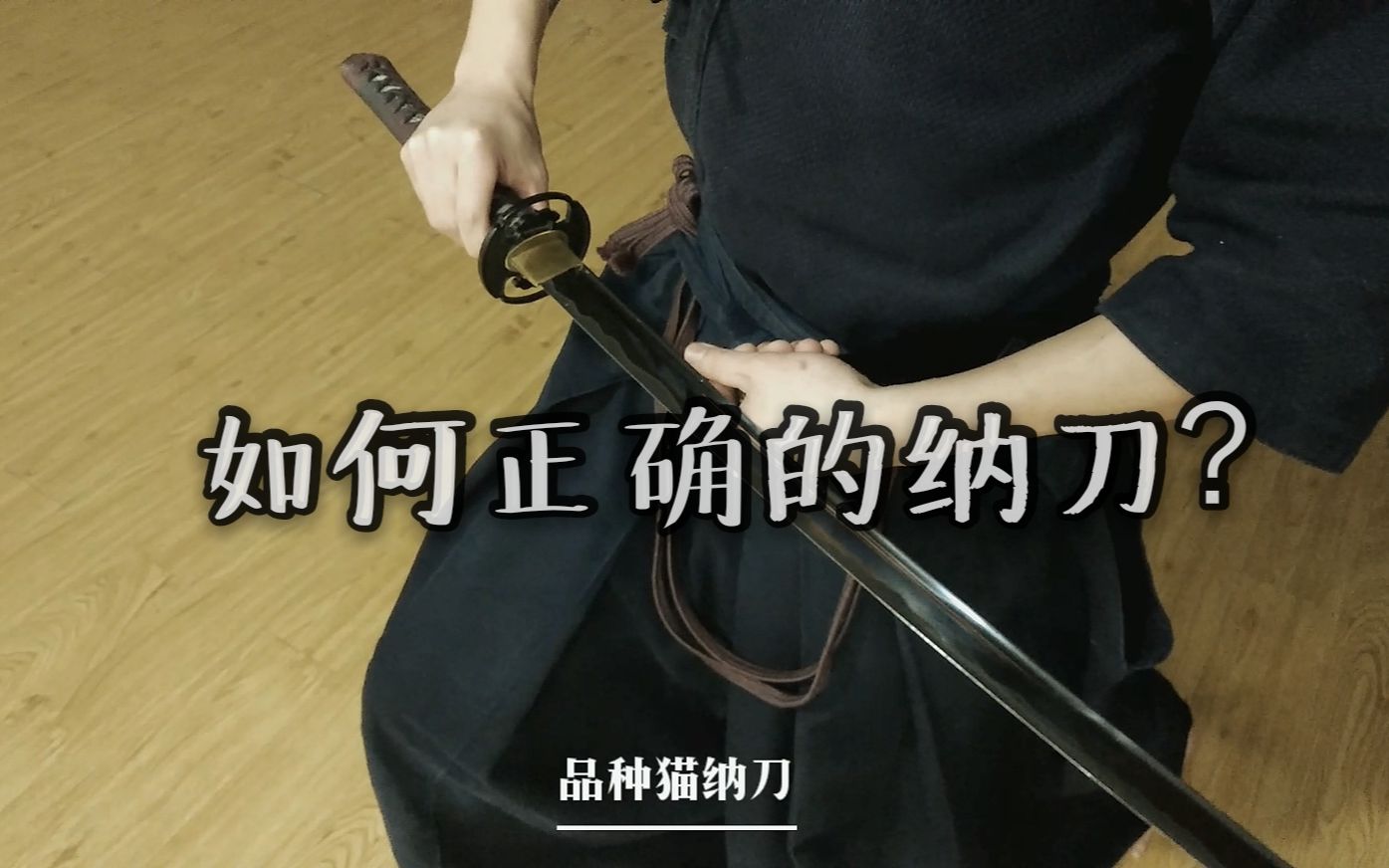 【居合/纳刀】初学者纳刀示范 up主纳刀示范(10秒