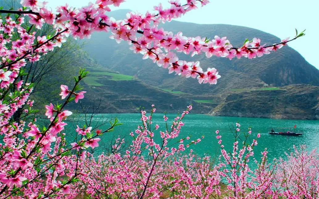 轻音乐《溪行桃花源》那山间流水的小溪,在深山中曲曲折折!