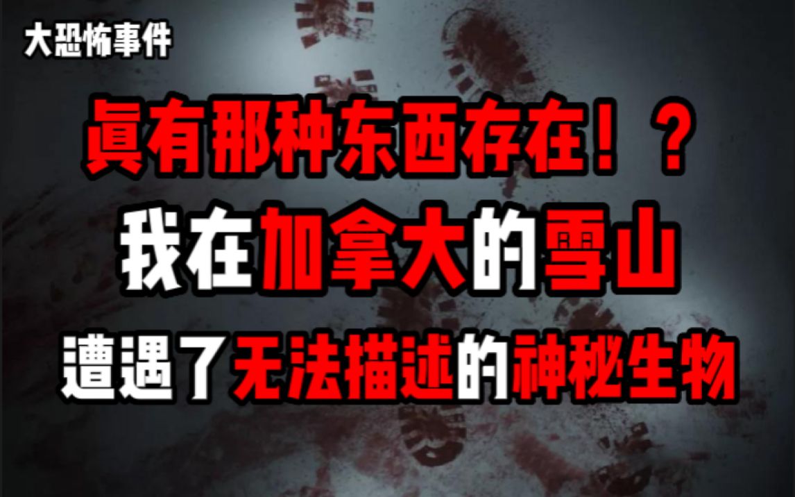 【大恐怖事件】如果不是亲眼所见,我是绝对不会相信有这种东西存在!?加拿大雪山遭遇未可知的生物!?诡异仪式背后究竟为了什么!?哔哩哔哩bilibili