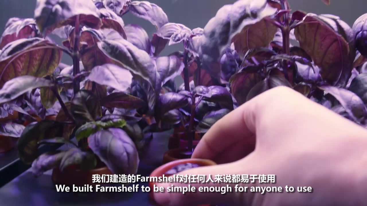 [图]Farmshelf - Smart Indoor Farm双语字幕