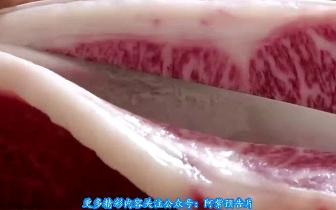 夜晚福利关于烧肉的日本电影《食运》预告片哔哩哔哩bilibili