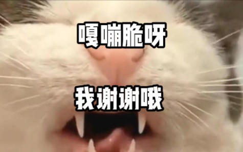 老登,我谢谢您嘞!后槽牙都给我嚼碎了