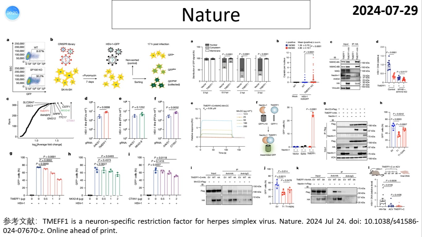 Nature—上海交通大学重磅发现:TMEFF1是疱疹病毒感染大脑的限制因子哔哩哔哩bilibili