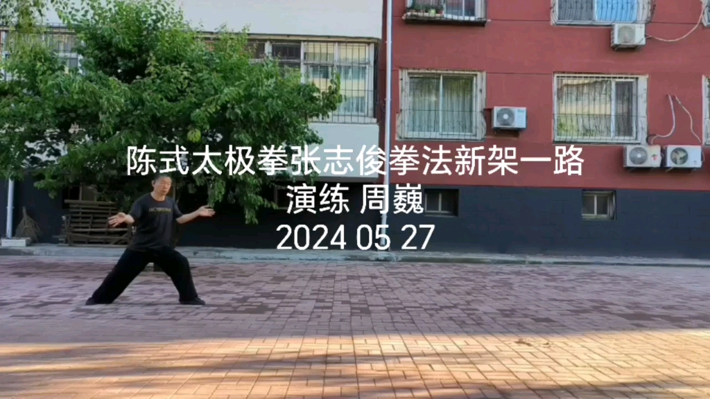 陈式太极拳张志俊拳法新架一路