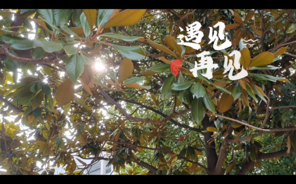 《遇见61再见》