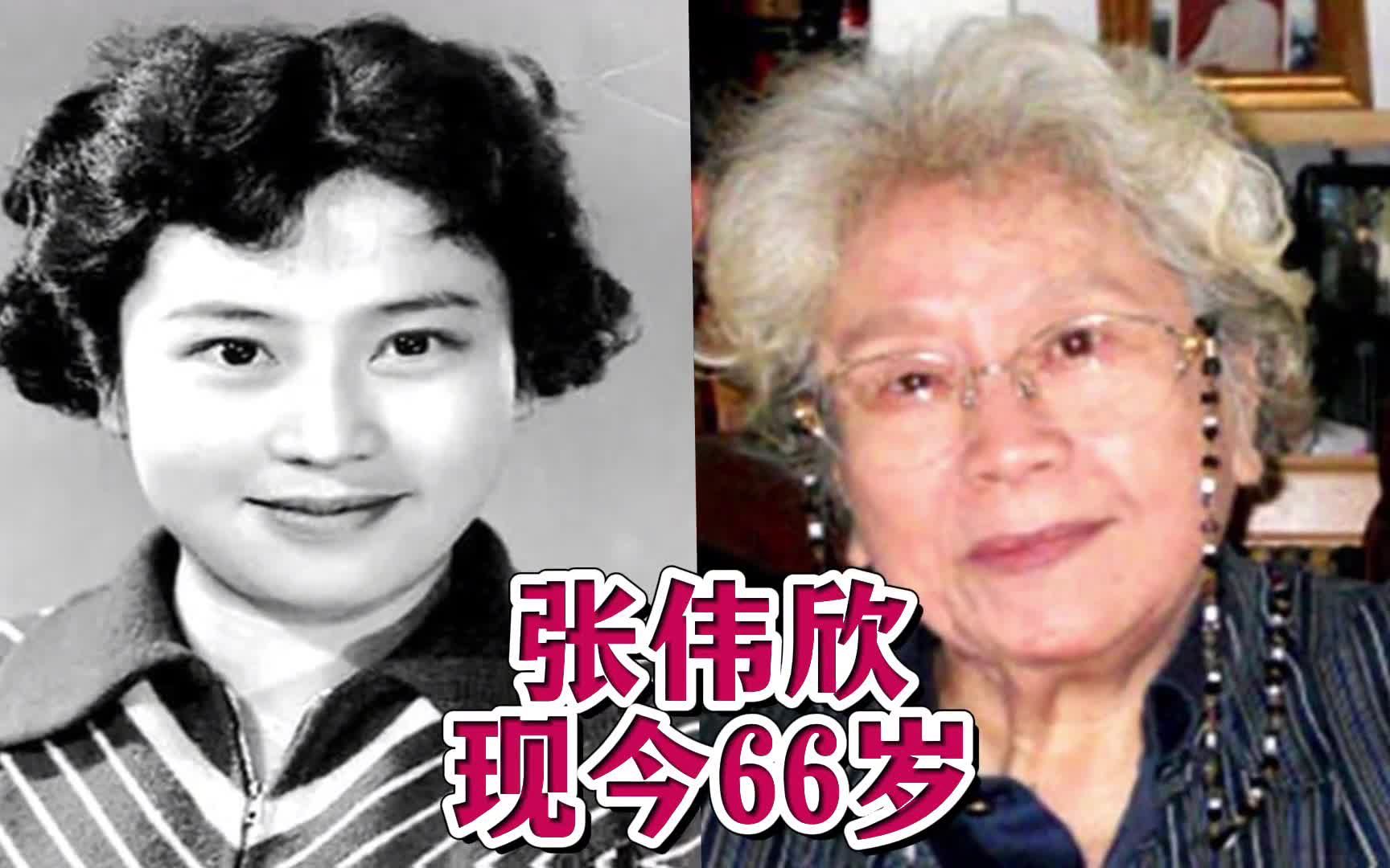 20位魅力女电影明星今昔,盖克年轻时美若天仙,杨春霞已满头白发哔哩哔哩bilibili