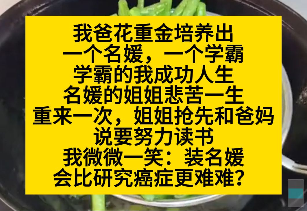 我爸花重金,培养出一个名媛,一个学霸,名媛的姐姐后悔了,我:难当装个名媛比研究癌症还难?小说推荐哔哩哔哩bilibili