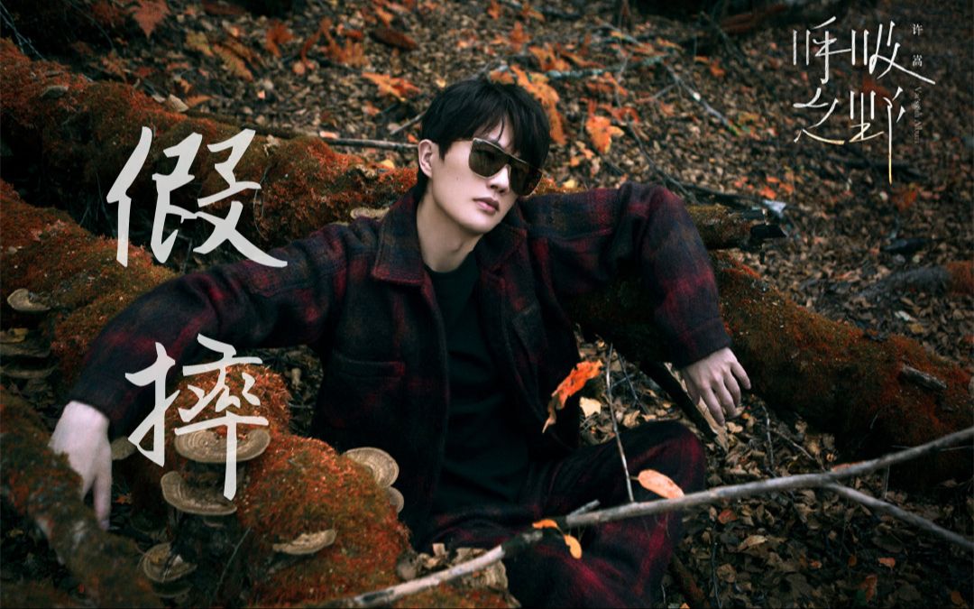 【歌词版|自制】 许嵩 - 假摔