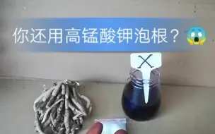 Descargar video: 高锰酸钾的在养花过程中的应