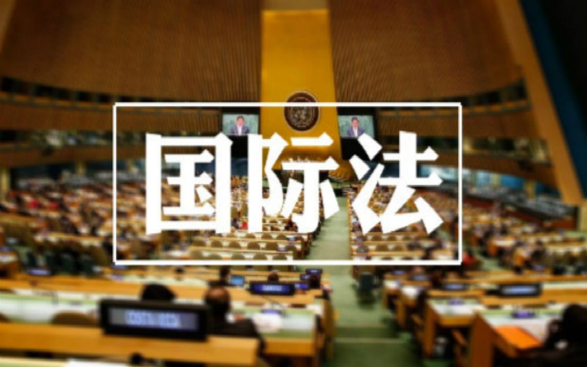 【吉林大学】国际法 |国际问题|中国方案|何志鹏哔哩哔哩bilibili