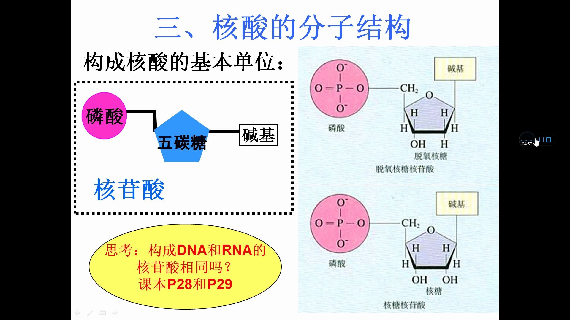 核酸(生物)哔哩哔哩bilibili