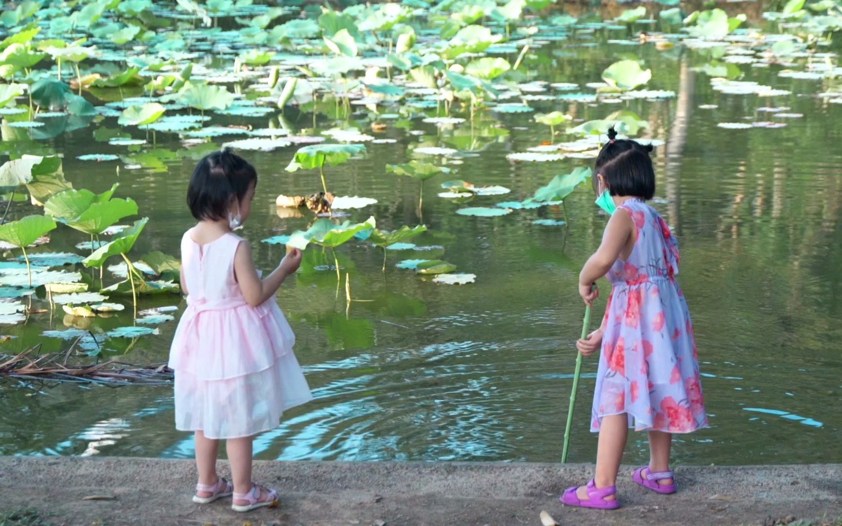 灯与河川,夏日人间,2020的夏依然是外表性感,内在天真的日子哔哩哔哩bilibili