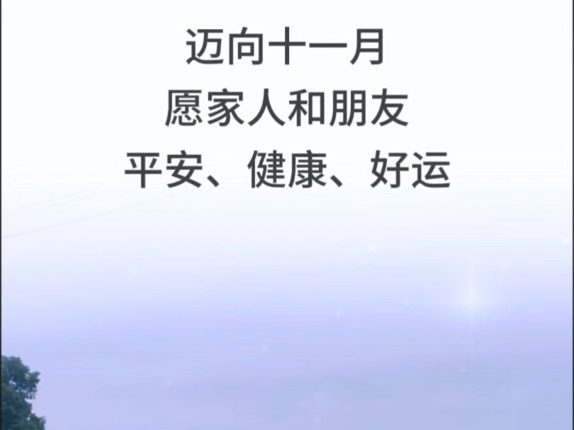 十一月了,愿朋友们平安、健康、好运连连#11月你好 #十一月的第一天的祝福 #钨钢钻头哔哩哔哩bilibili