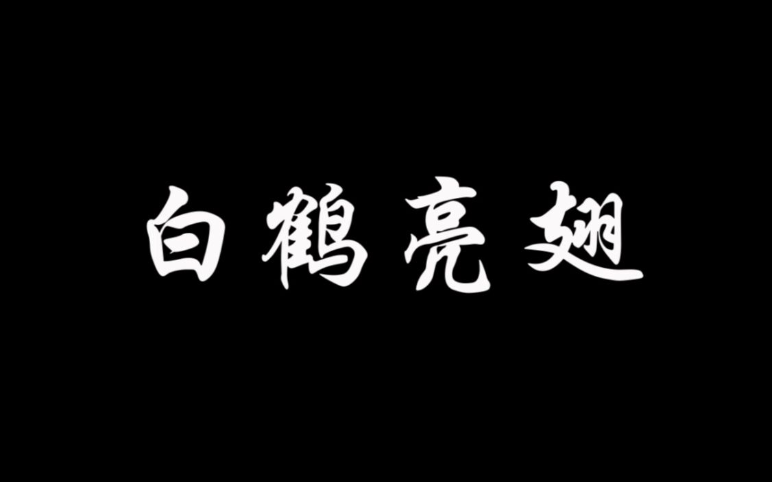 陈氏太极拳教程18白鹤亮翅哔哩哔哩bilibili