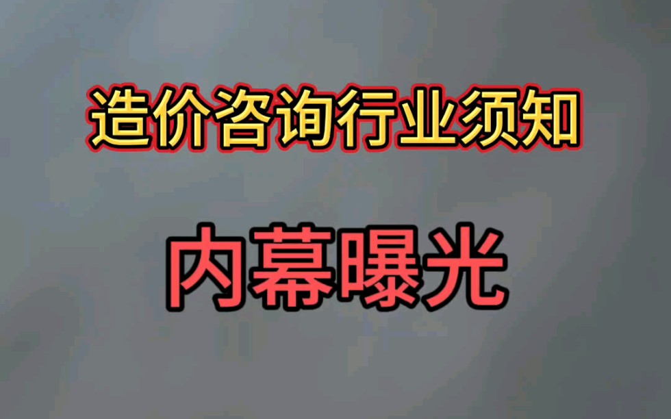 造价咨询行业内幕须知哔哩哔哩bilibili