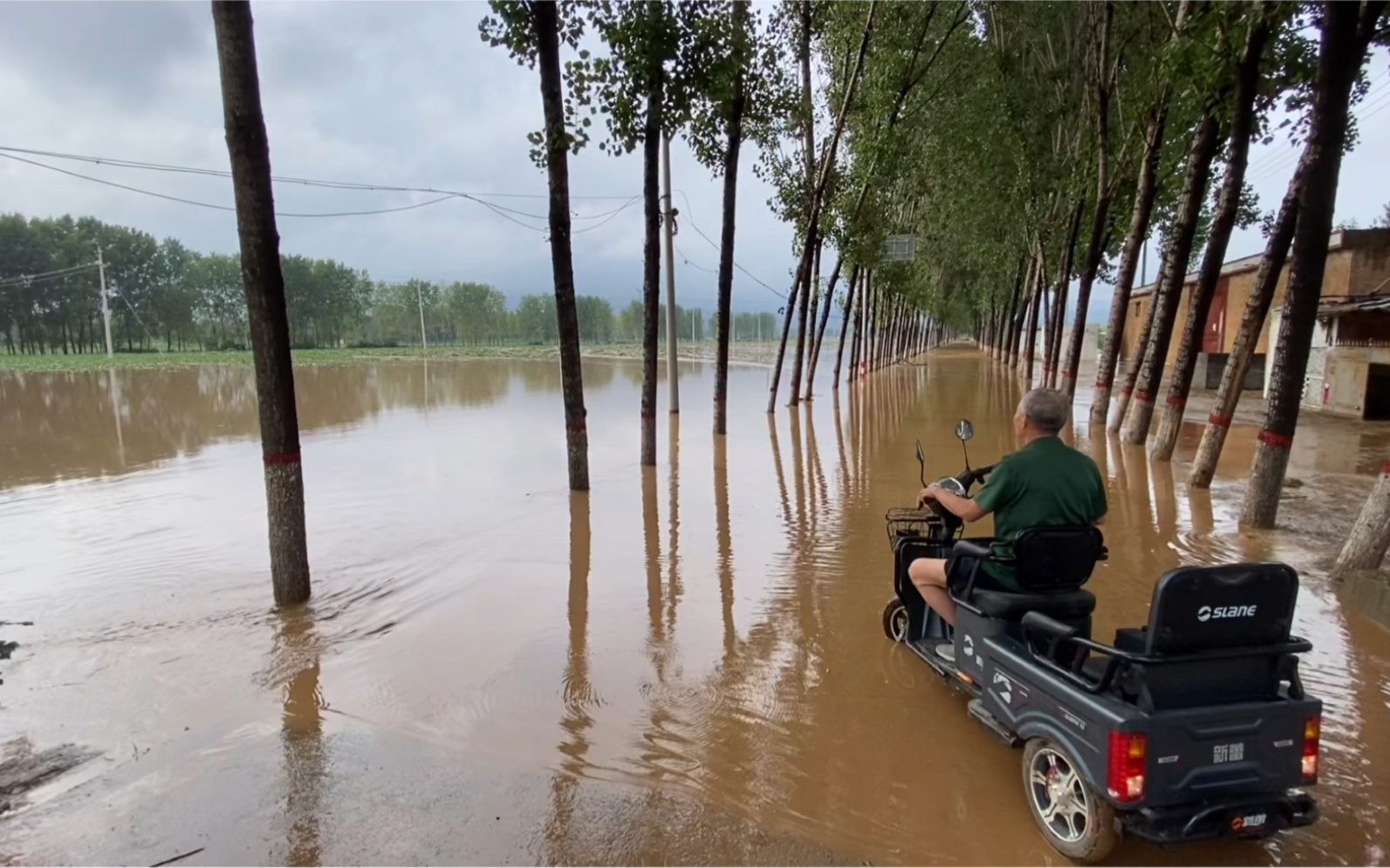 河南突降暴雨,农村小伙的地黄地被淹40亩,直接损失12万,说多都是泪!