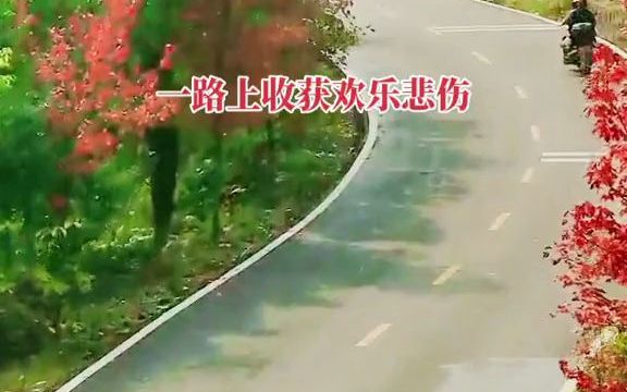 [图]《风雨人生路》张鑫雨 最美的风景在路上