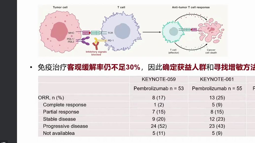 20240413-北京大学沈琳-幽门螺杆菌对免疫治疗的影响