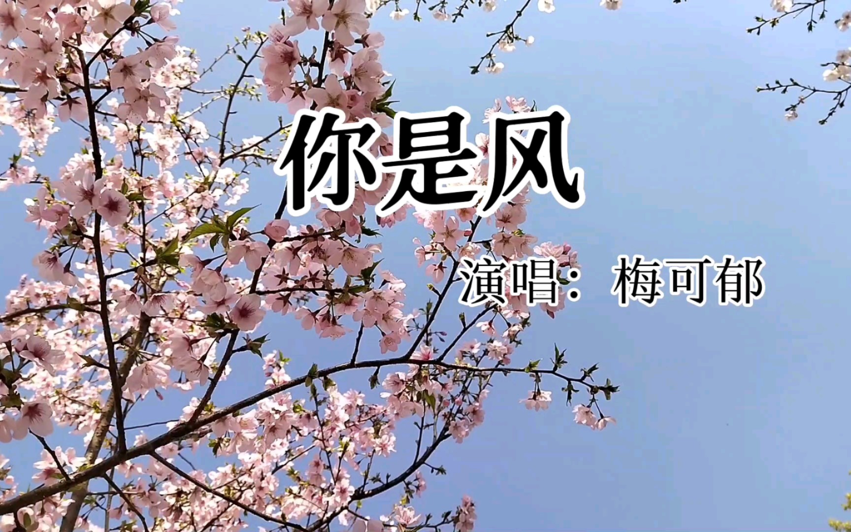 [图]#《你是风》梅可郁#感伤歌曲#你是风，何故惊扰我的梦～一半清醒一半醉～#好听的歌曲