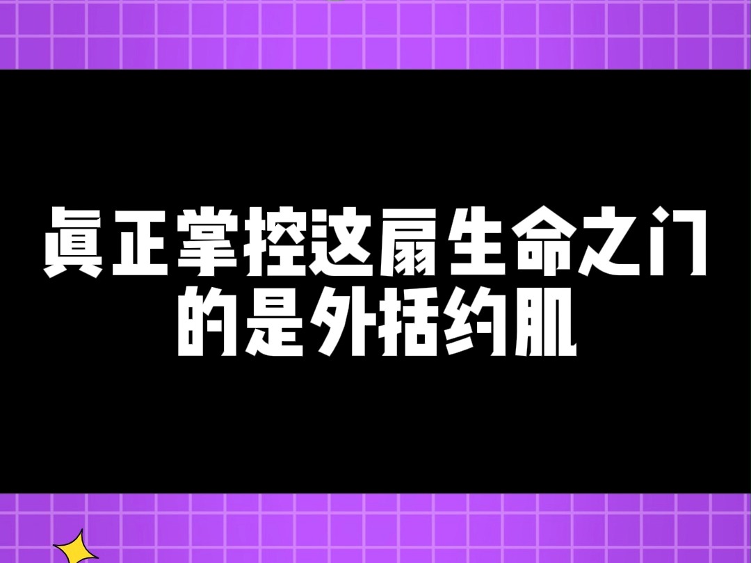 一段正经的科普视频,你的肛门松弛吗?哔哩哔哩bilibili