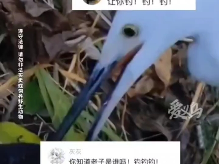 唠叨的时候好像在说.掉掉掉掉掉掉哔哩哔哩bilibili