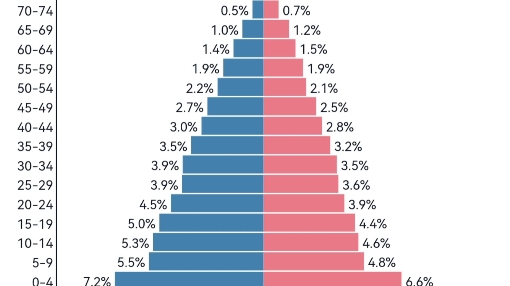 人口金字塔 三种类型图片