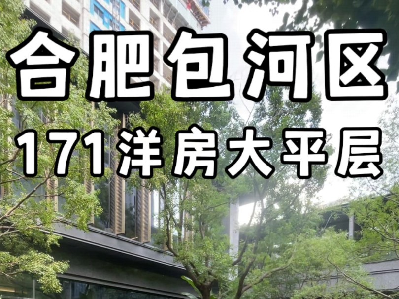 合肥包河区171洋房大平层总价450万#合肥大平层#合肥大平层设计#合肥新房推荐哔哩哔哩bilibili