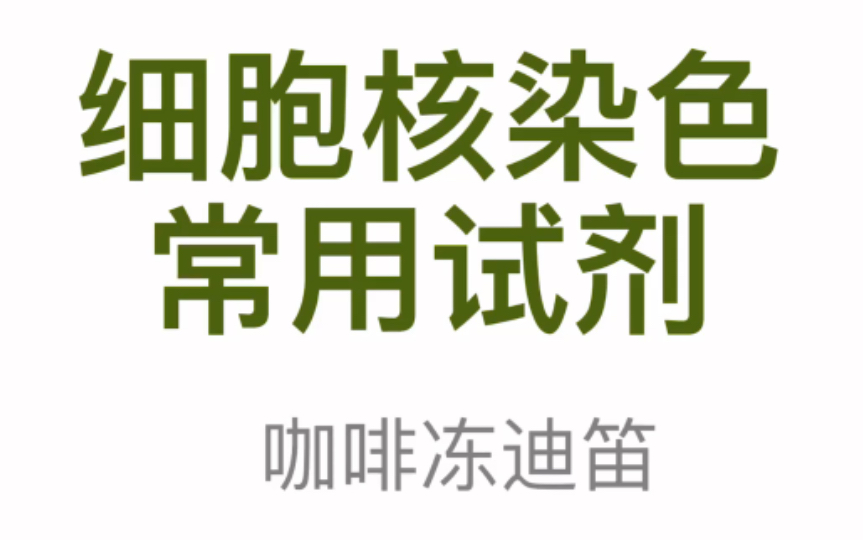 细胞核染色常用试剂有哪些?速成讲解!【医学科研】哔哩哔哩bilibili