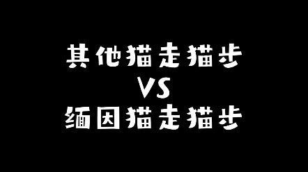 [图]淘宝风模特vs秀场名模！