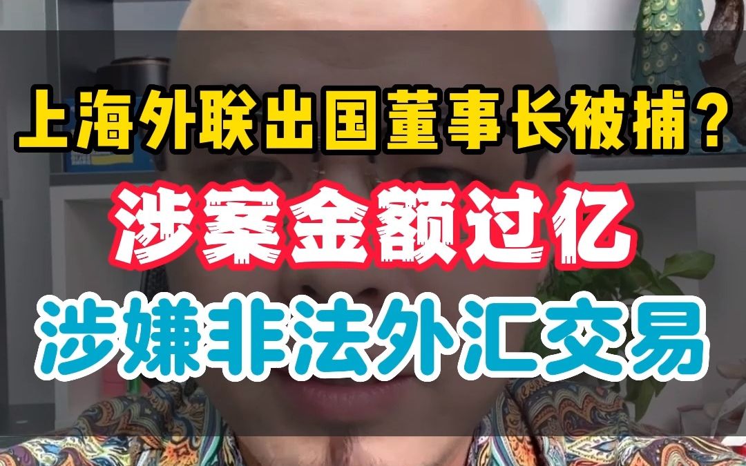 上海外联出国董事长被捕?涉案金额过亿,涉嫌非法外汇交易哔哩哔哩bilibili