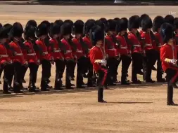 Trooping the Colour 2017 - The British Grenadiers - 擲彈兵進行曲